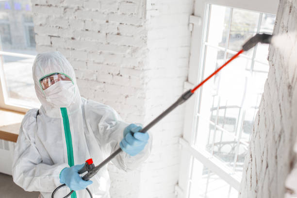 Best Mold Prevention Services  in Farm Loop, AK