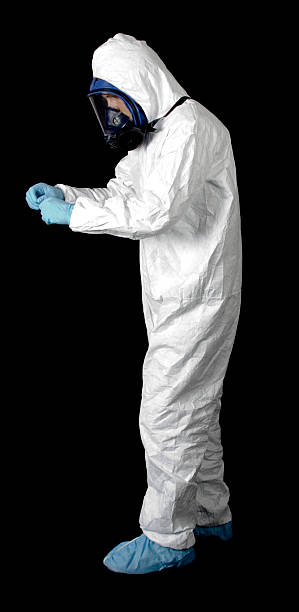 Best Basement Mold Removal  in Farm Loop, AK