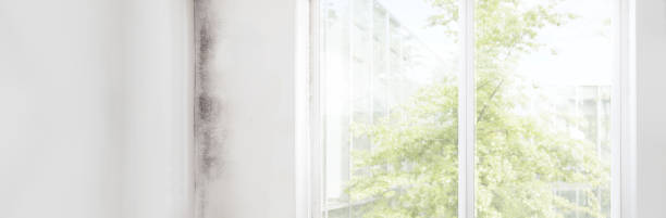 Mold Remediation for Rental Properties in Farm Loop, AK