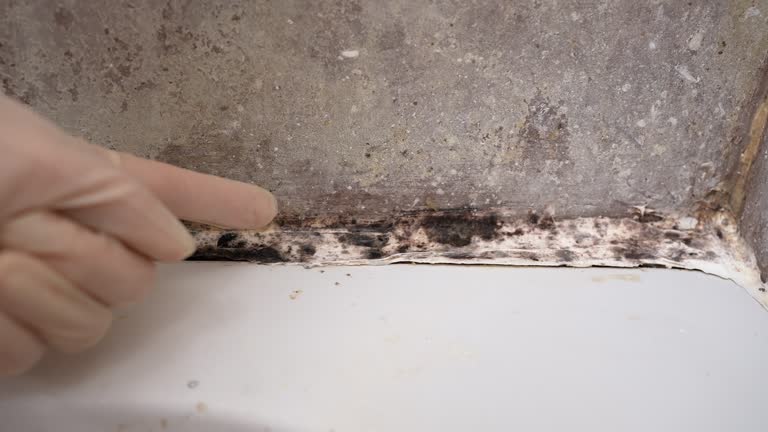 Best Asbestos and Lead Testing During Mold Inspection  in Farm Loop, AK